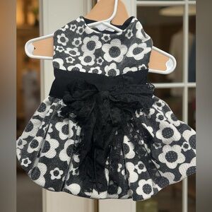 Small Dog Designer Elegant Dress Black & White Daisy With Lace flowers